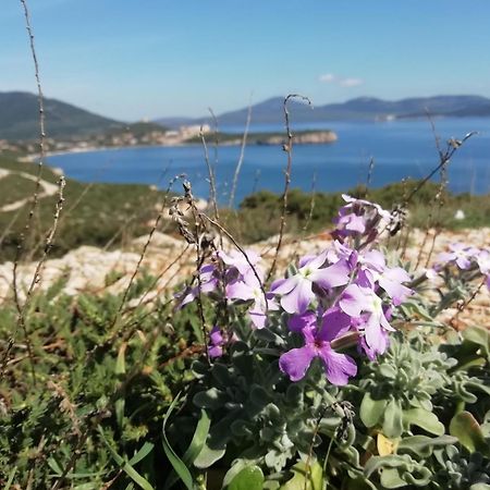 Bed and Breakfast El Matorral Alghero Exterior foto
