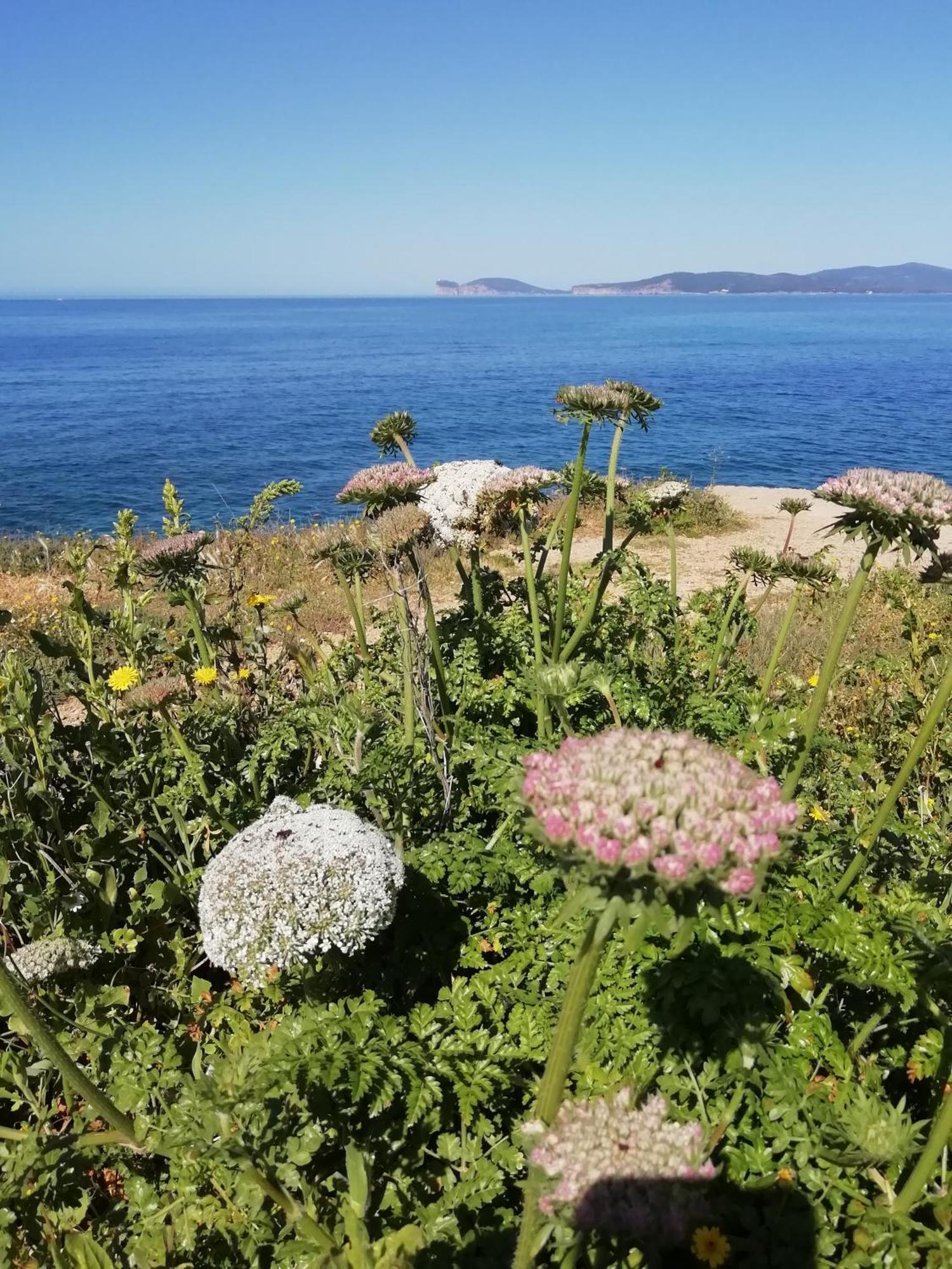 Bed and Breakfast El Matorral Alghero Exterior foto